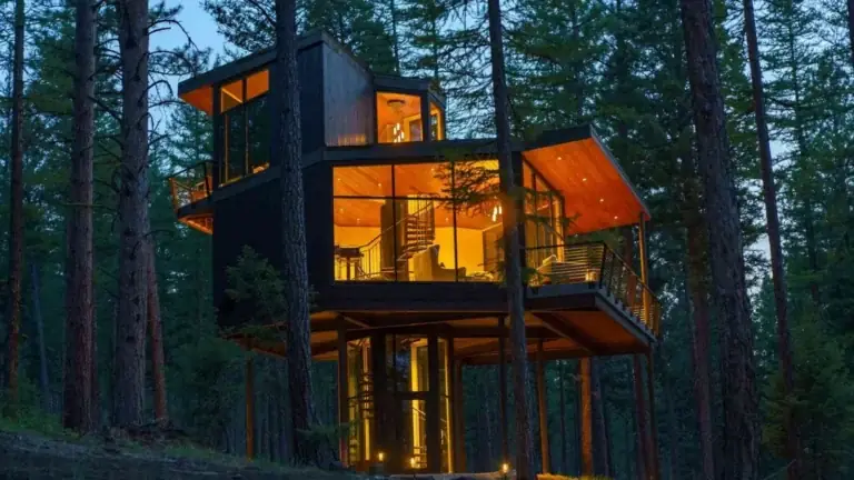 Luxury Forest Stays America: A Definitive Guide to Canopy Living