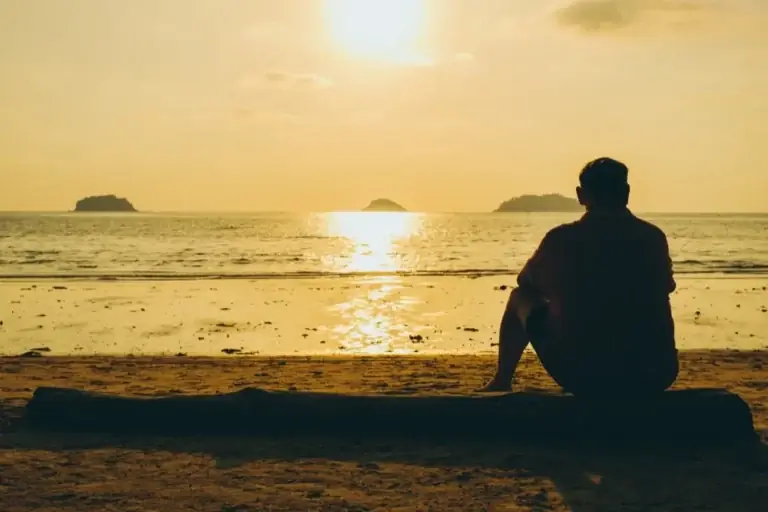Best Eco Lodges for Solo Travelers: A Systems Guide to Solitary Stays