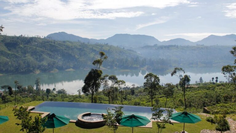 Top Biodiversity Focused Stay Plans: A Systems Guide to Bio-Centric Lodging