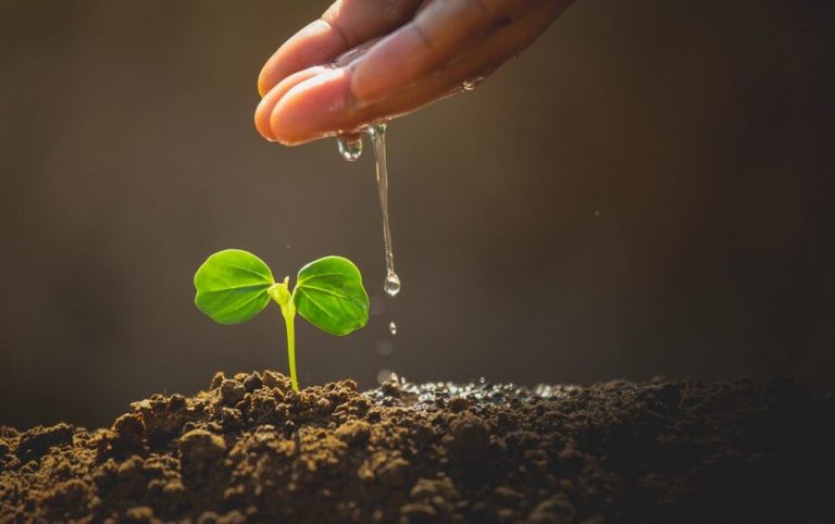 Managing Sustainable Water Risks: A Framework for Hydrological Sovereignty